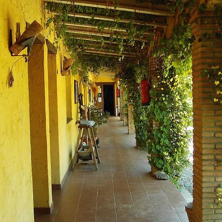 Hotel Rural La Cimbarra Aldeaquemada Εξωτερικό φωτογραφία