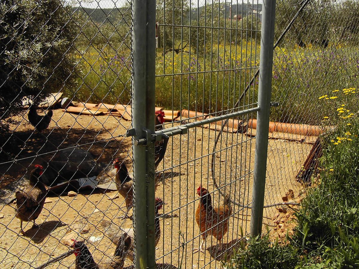 Hotel Rural La Cimbarra Aldeaquemada Εξωτερικό φωτογραφία